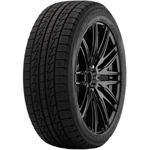 Roadstone Winguard Ice 195/55 R16 87Q